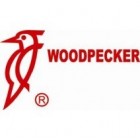 Woodpecker Woodpecker